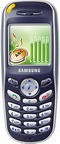Samsung SGH-X100 �������