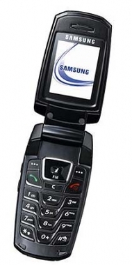Samsung SGH-X300 �������