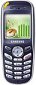 Samsung SGH-X100