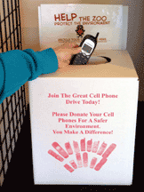cell-phone-recycling