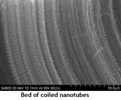 nanotubes