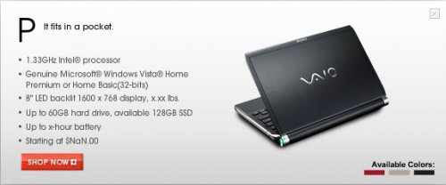 Sony VAIO Netbook
