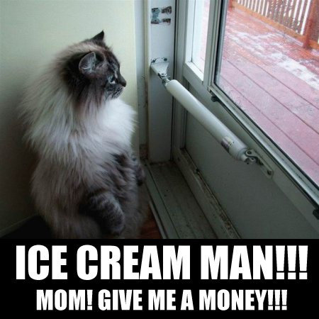 мама, дай денег на мороженное!