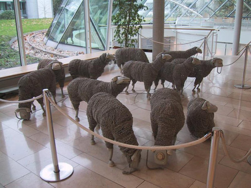 “Телефонная” овечка стала музейным экспонатом