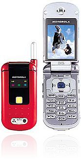 <i>Motorola</i> MS100