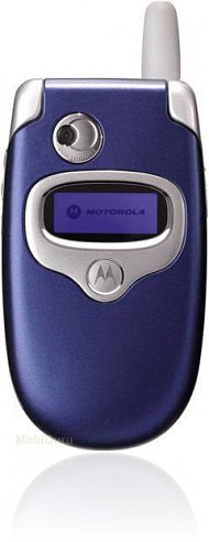 <i>Motorola</i> V300