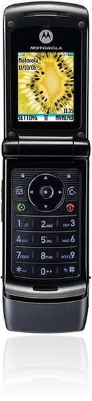 <i>Motorola</i> W355