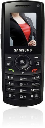 <i>Samsung</i> SGH-Z170